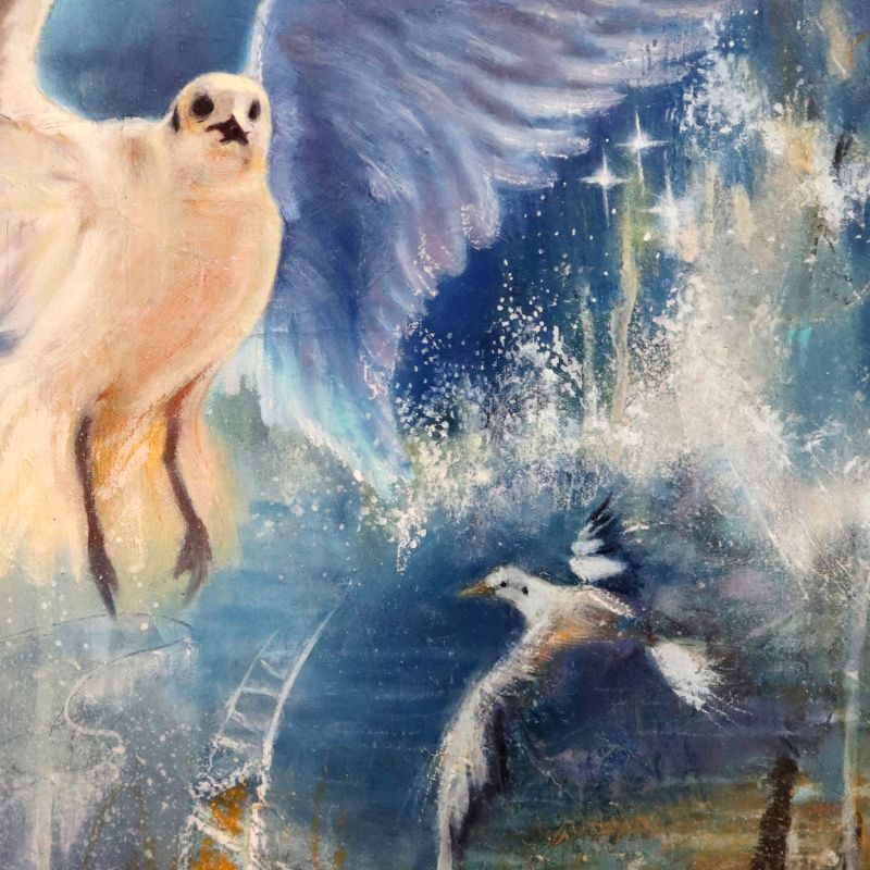 Winged Dreamers