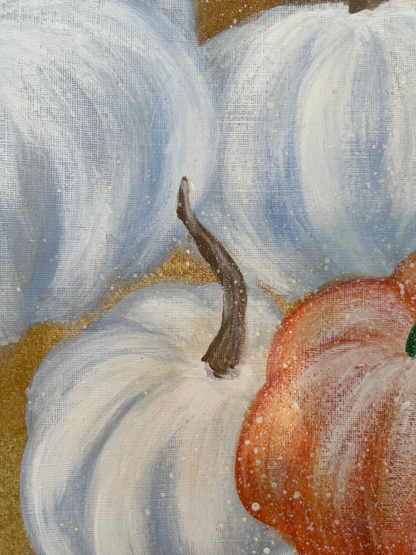 Pumpkin Patch