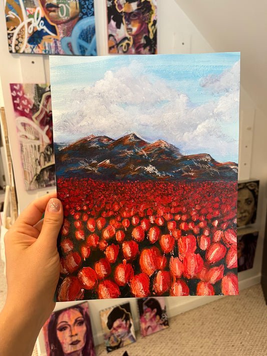 Poppies