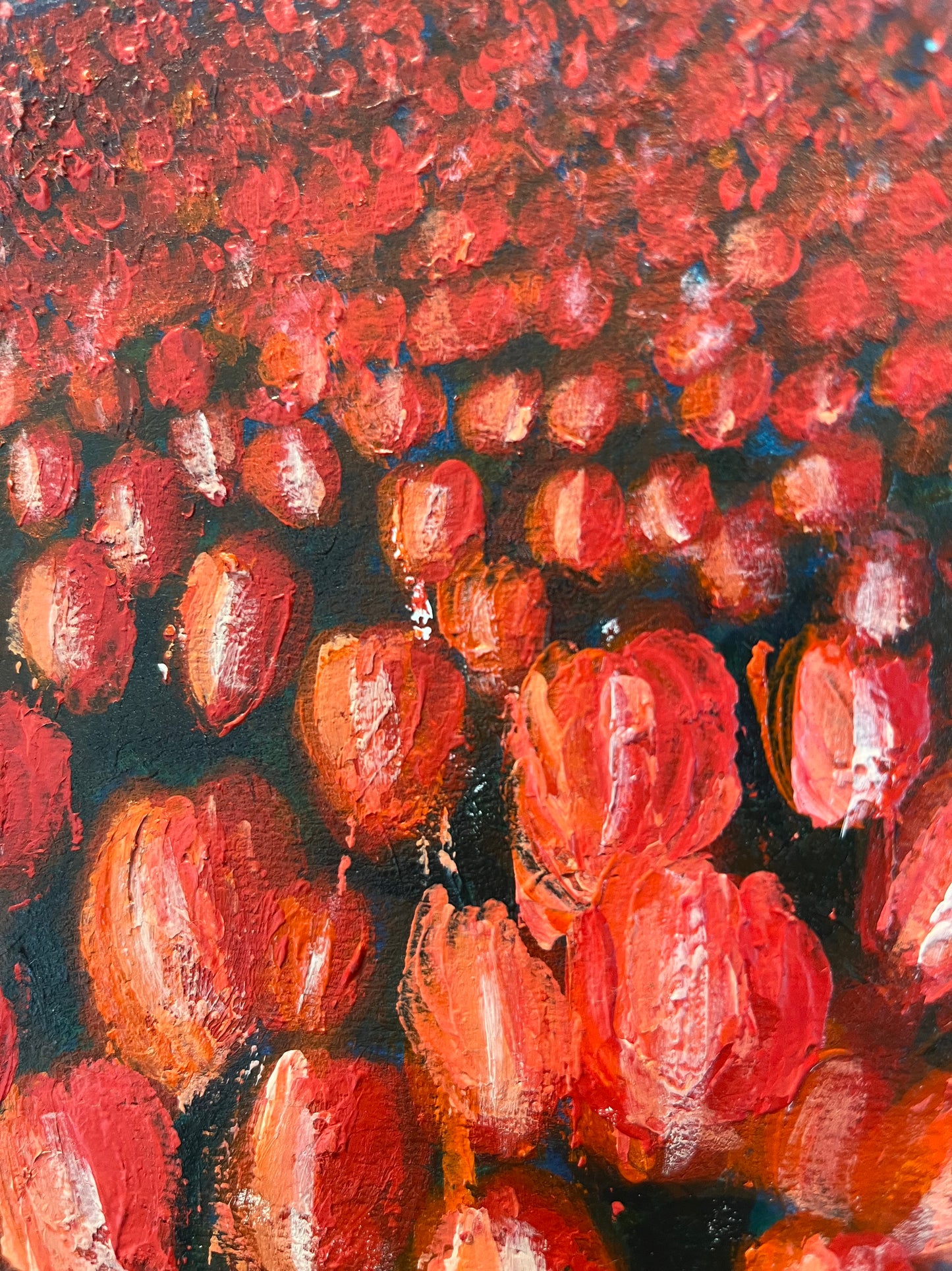 Poppies