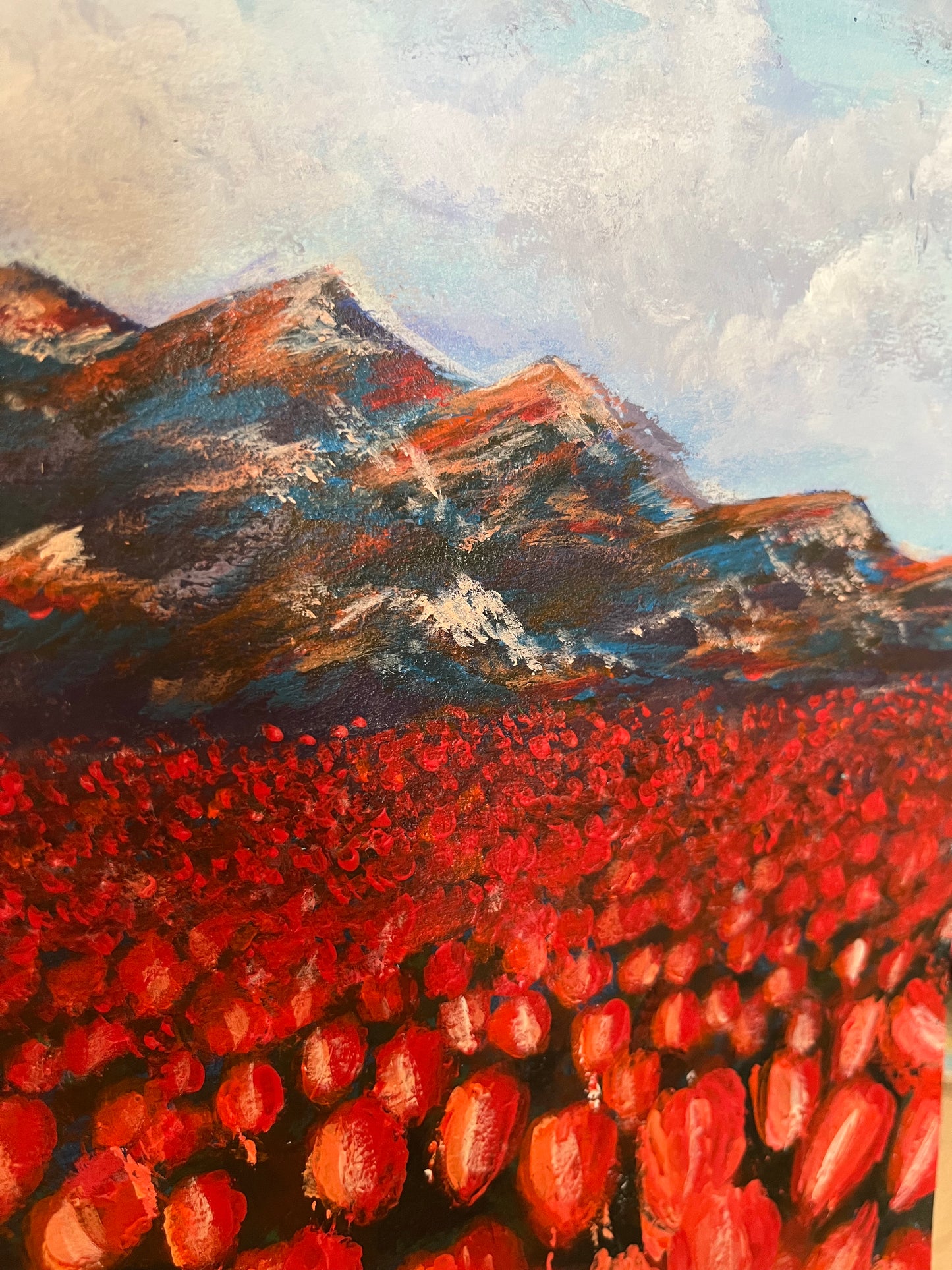 Poppies